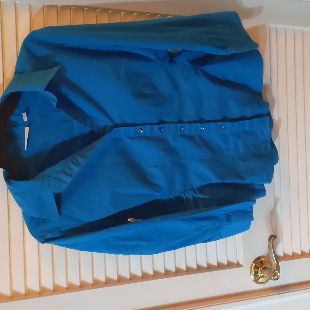 Blue blouse